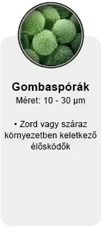 gombaspórák ellen légtisztító