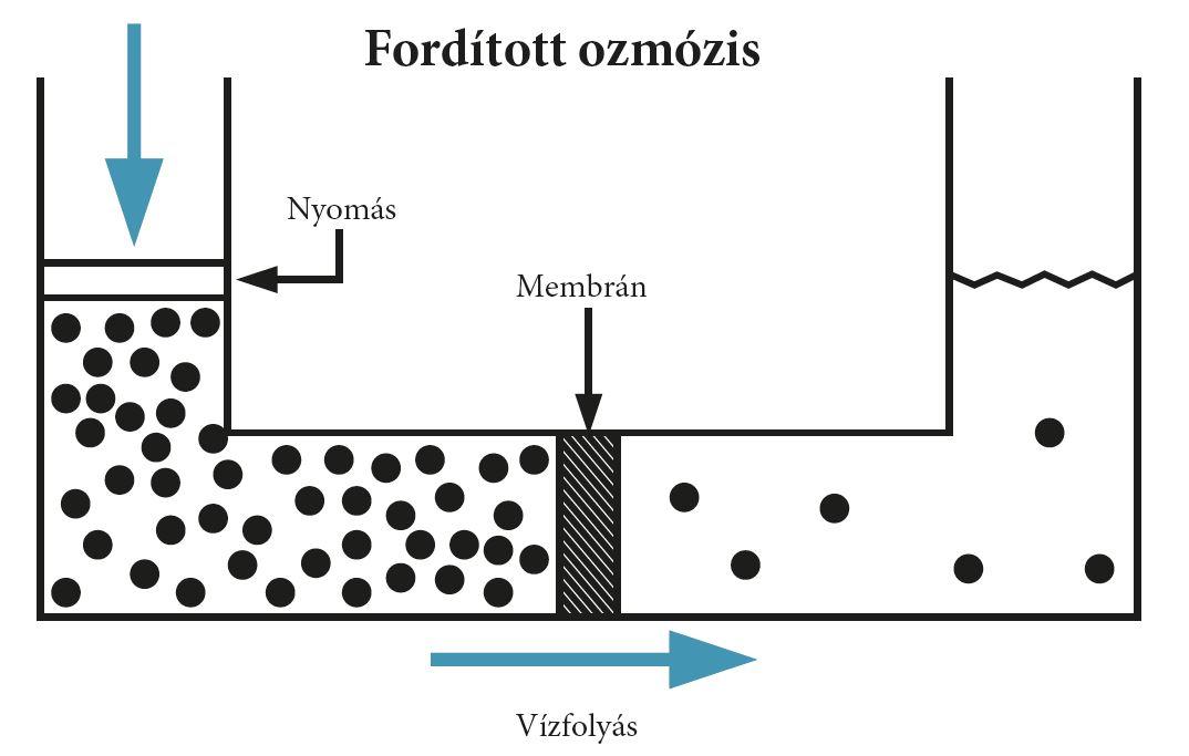 fordított ozmozis